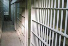 Zulümde Açan Sabır Çiçekleri