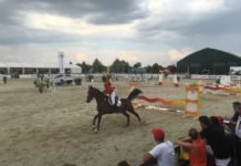 Balkan At Yarışları’nda Romanya’ya Altın Madalya