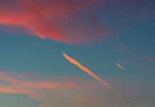 İşte Türkiye’nin ülke ülke, tarih tarih uçuşları başlatma planı