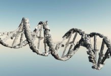 Sigara Dna’ya Zarar Veriyor