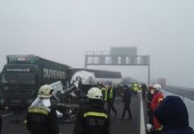 Nădlac Sınır Kapısında Zincirleme Kaza: 5 Ölü, 12 Yaralı