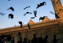 Regaib Kandili ile Başlayan Kurtuluş Iklimi