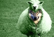 IŞİD’li Teröristler, AKP ve İslam’ın Talihsizliği…