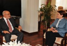 Akşener: Kesinlikle ‘Hayır’ Çıktı, 2019 Son Demokratik Seçim Olacak!