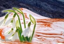 Hem Nimet Hem Imtihan..