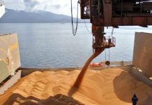 Romanya, hububat ihracatını askıya aldı