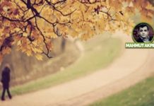 Hizmet Ne Zaman Biter?