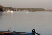 Kolza Yağı Taşıyan Tanker Tuna Nehrine Yuvarlandı