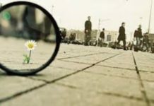 Küçük Şeylerle Direnmek..