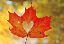 Kalbe Dönüş Çağrısı