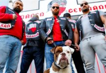 AKP Uzantılı ‘Almanyalı Osmanlılar’ Çetesine Baskın