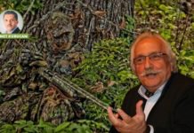 Harp, Sizin Anladığınız Manada ‘Hile’ Değildir