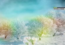 Budama Mevsimi ve İlkbahar Müjdesi