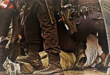 Yurtta Haydutluk, Cihanda Haydutluk