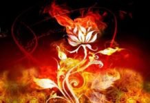 Ateşe Atılıp Gül Bahçesine Düşenler