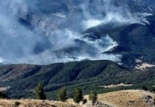 Dersim Dağları Günlerdir Yanıyor; Devlet Seyrediyor