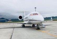 Die Welt, Ankara’nın yurt dışı Gülenci operasyonlarını kaçırma olarak gördü