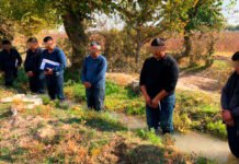 HASAT DÜŞÜK OLUNCA ÇİFTÇİLERİ SUDA BEKLETEREK CEZALANDIRAN BAŞBAKAN YARDIMCISI GÖREVDEN ALINDI