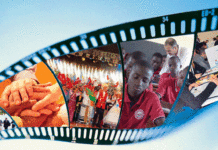 AĞACI MEYVESİYLE DEĞERLENDİRİN