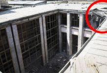 DARBE TUTANAĞINI KABUL ETTİN, BİR DE FOTOĞRAFLARA BAK NEDİM ŞENER…