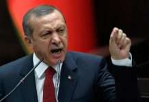 “Erdoğan insan hakları ve demokrasiye saldırıyor”