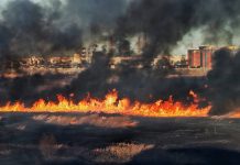 Başkentteki milli parkta 30 dönüm alan yandı