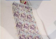 Romanya tarihinin en büyük kalpazanları yakalandı