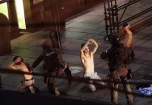 Viyana’da terör 6 noktadan eşzamanlı vurdu