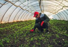 Ani mevsim değişiklikleri ve soğuk hava, meyve- sebze üreticilerini endişelendiriyor