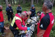 Harghita’da ‘mağdur tazminatı’ için saldırgan ayıyı takip eden 2 çobanın feci sonu