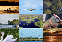 Tuna’nın gizemli deltası doğa tutkunlarını bekliyor