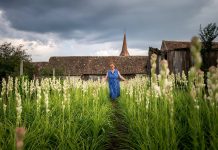 Romanya’da ilk defa bir çiçek için koruma ve tescil başvurusu yapılacak