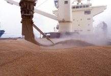 AB’de en çok tahıl ihraç eden ülkelerin başında Romanya geliyor