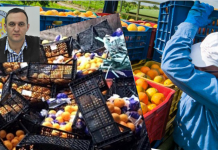 Türkiye’den ithal pestisit kalıntılı 20 ton portakal imha edildi