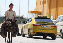 Japon turist, Merzifon’dan aldığı eşekle Türkiye’yi gezdi