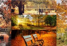 Sonbahar renkleri Bükreş’i sardı