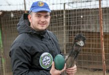 Aradlı genç girişimcinin egzotik hayvan merakı