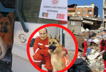 Hatay’da 4 kişiyi kurtaran Romen ekibinin başındaki Ionescu: “Tarif edilemez görüntülere şahit oldum”