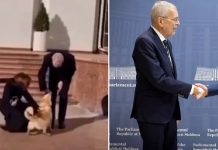Moldova Cumhurbaşkanı Maia Sandu’nun köpeği, Avusturya Cumhurbaşkanını ısırdı