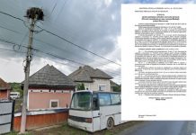 Leylek yuvasının taşınması için Çevre Bakanlığı’ndan resmi karar çıkarttırdı