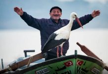 13 yıllık dostluk: Yaren Leylek ve balıkçı Adem bu yıl da buluştu