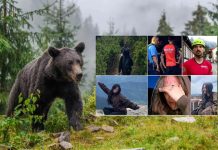 Dağda gezinti yapan genç kız, ayı saldırısında hayatını kaybetti