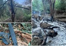 Romanya sınırında Rusya ile drone gerginliği