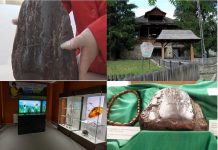 Kapı tutucu olarak kullanılan taş, 1 milyon dolarlık kehribar çıktı!