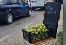 Trafikte bekleyen sürücülere armut ikramı jesti nasıl karşılık gördü?