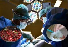 İki kilo kirazı çekirdekleri ile yiyince hastanelik oldu