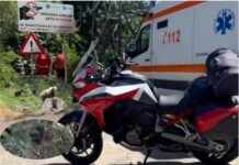 Ayı saldırısına uğrayan turistin feci sonu!