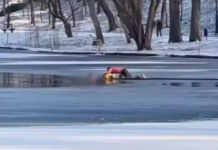 Donmuş göle düşen çocuğu kurtaran Hindistanlı göçmen Romanya’da kahraman oldu