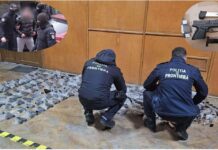 Türkiye’den Romanya’ya ‘hayalet silah’ getiren şebeke çökertildi