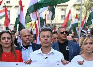 Muhalefeti birleştiren Magyar, 16 yıllık Orban iktidarını tarihe gömdü